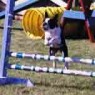 Ann Jump2